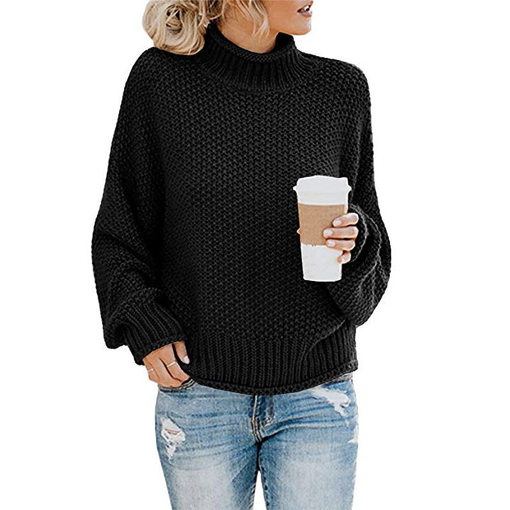 Chunky Turtleneck Sweater with Long Sleeves