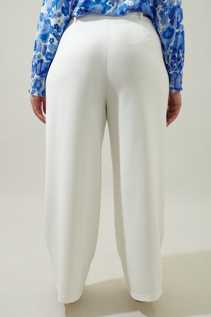 Chelsea Belted Wide Leg Pants Curve