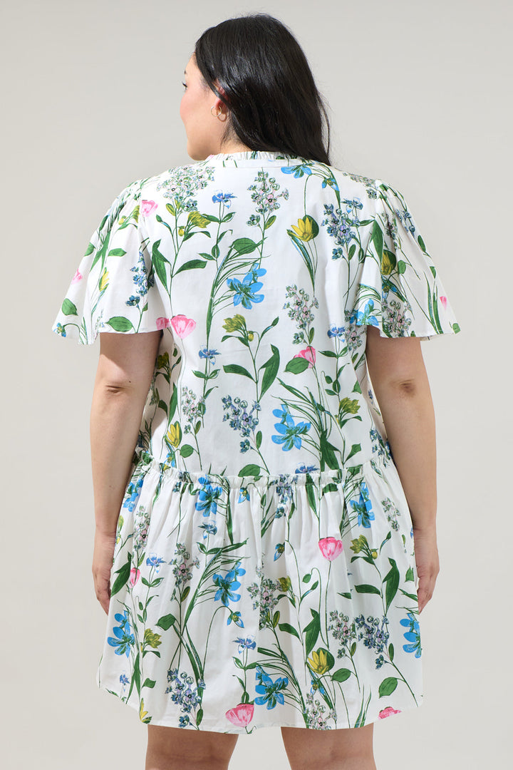 Clove Garden Floral Rock A By Trapeze Mini Dress Curve