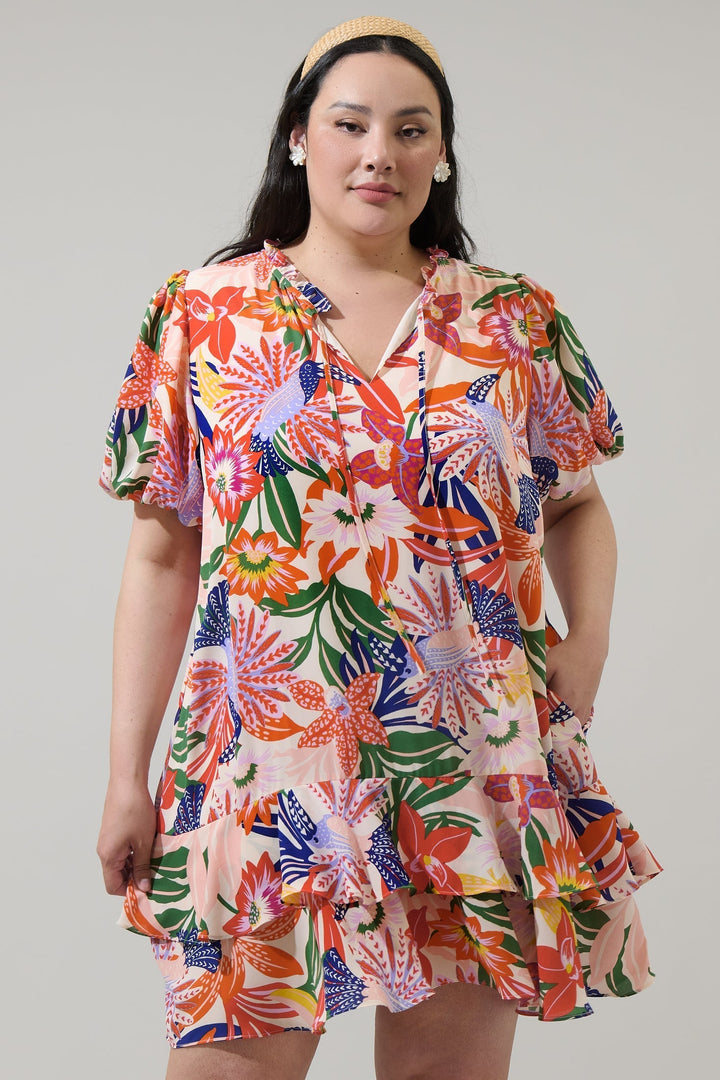 Hatley Floral Runner Up Shift Dress Curve