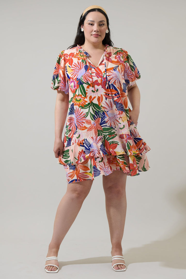 Hatley Floral Runner Up Shift Dress Curve