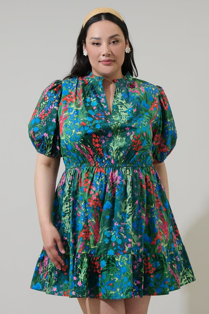 Devin Floral Marissa Mini Poplin Dress Curve