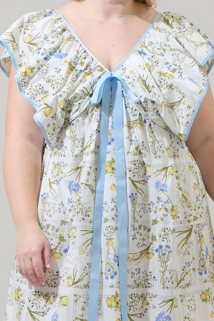 Cecily Floral Mini Babydoll Dress Curve