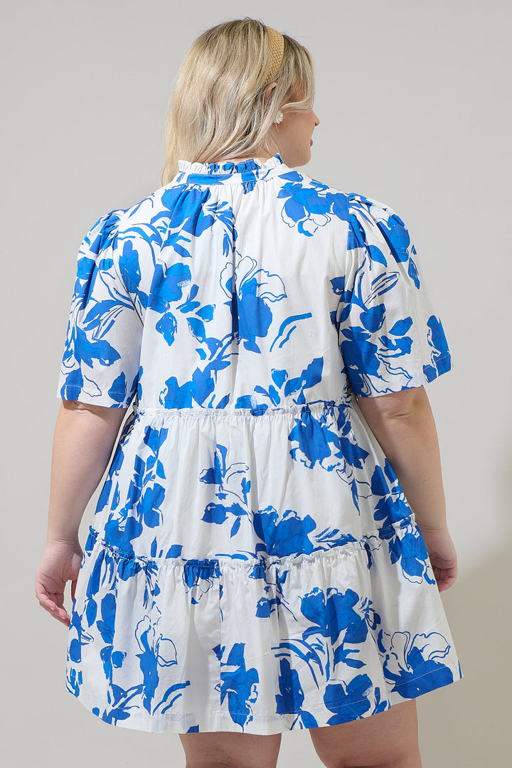Aby Floral Dixie Split Neck Shift Dress Curve