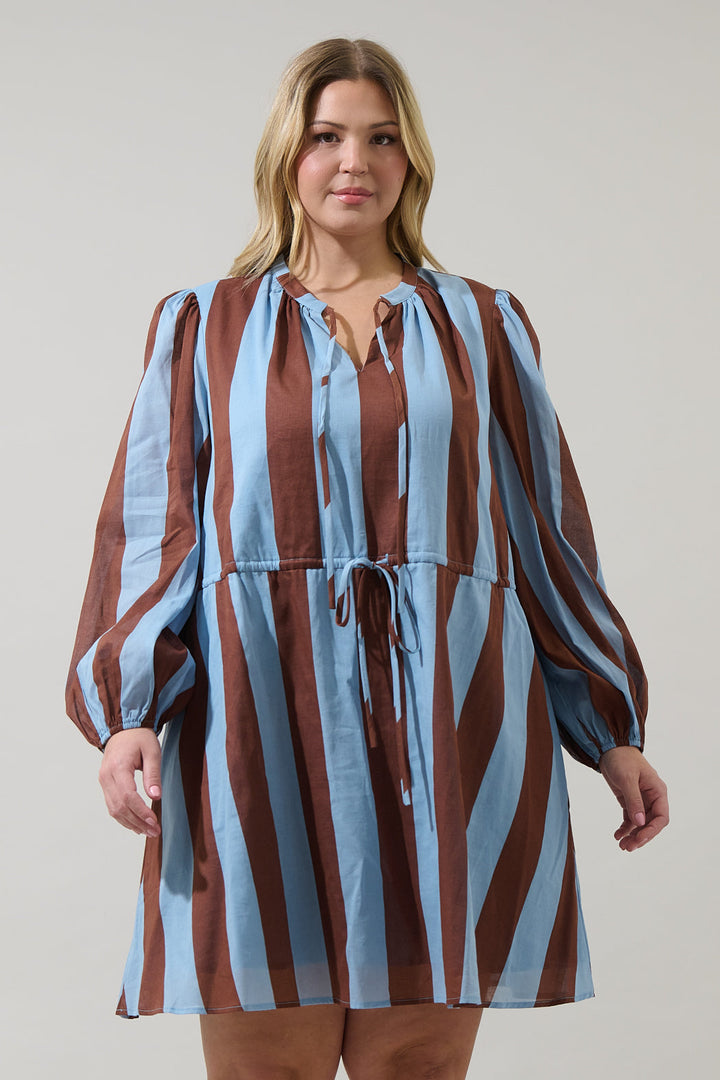 Evabelle Stripe Viany Shift Mini Dress Curve