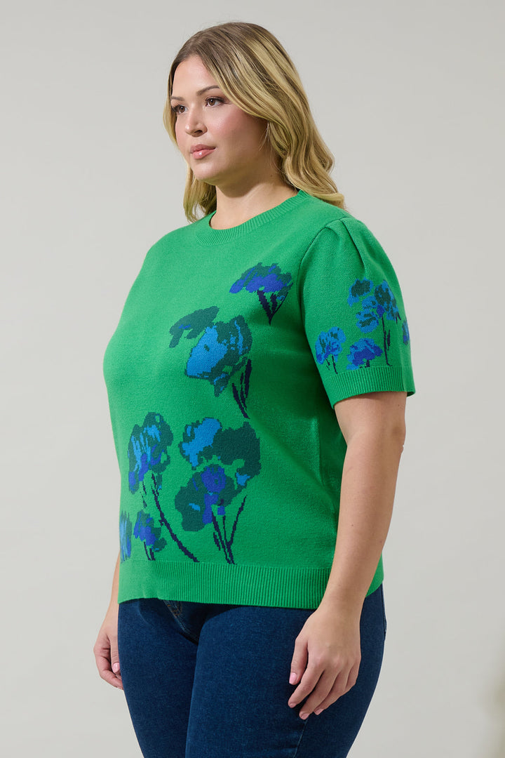 Kersey Floral Pleated Short Sleeve Sweater Top Curve