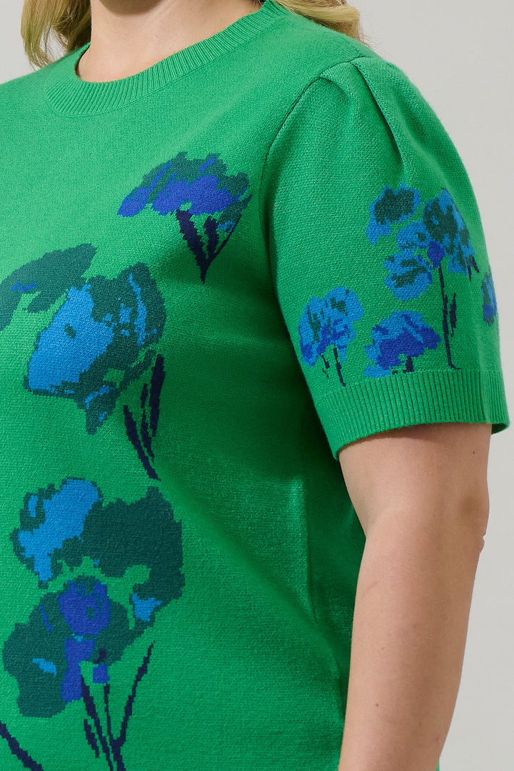 Kersey Floral Pleated Short Sleeve Sweater Top Curve