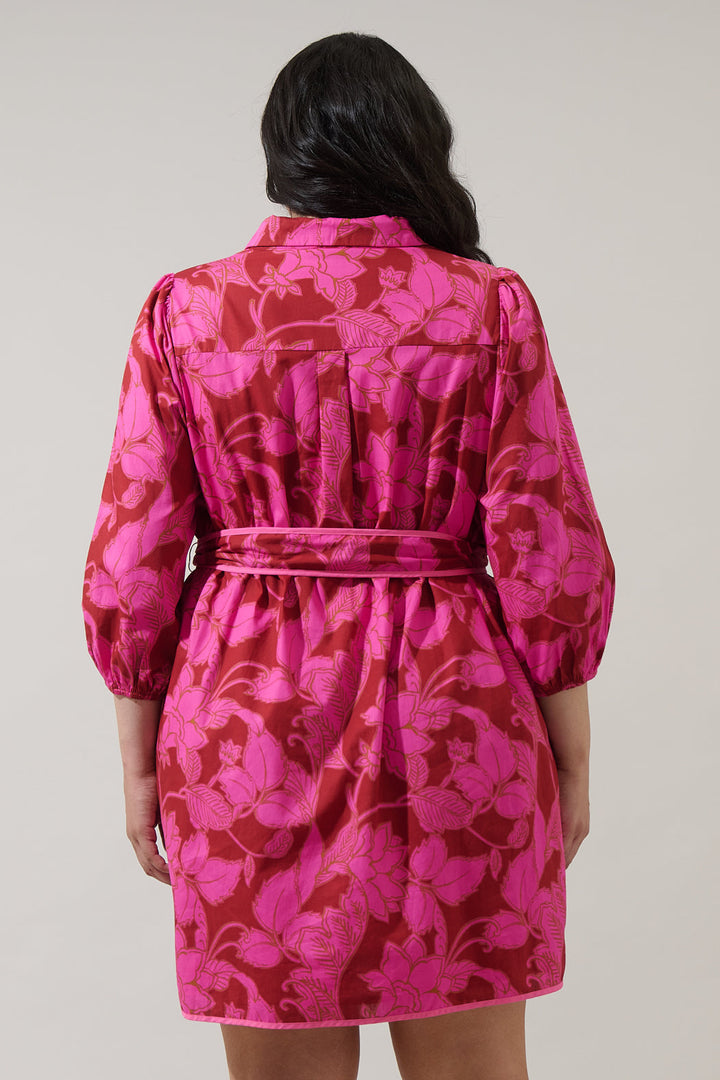 Craney Floral Ravan Collared Mini Dress Curve