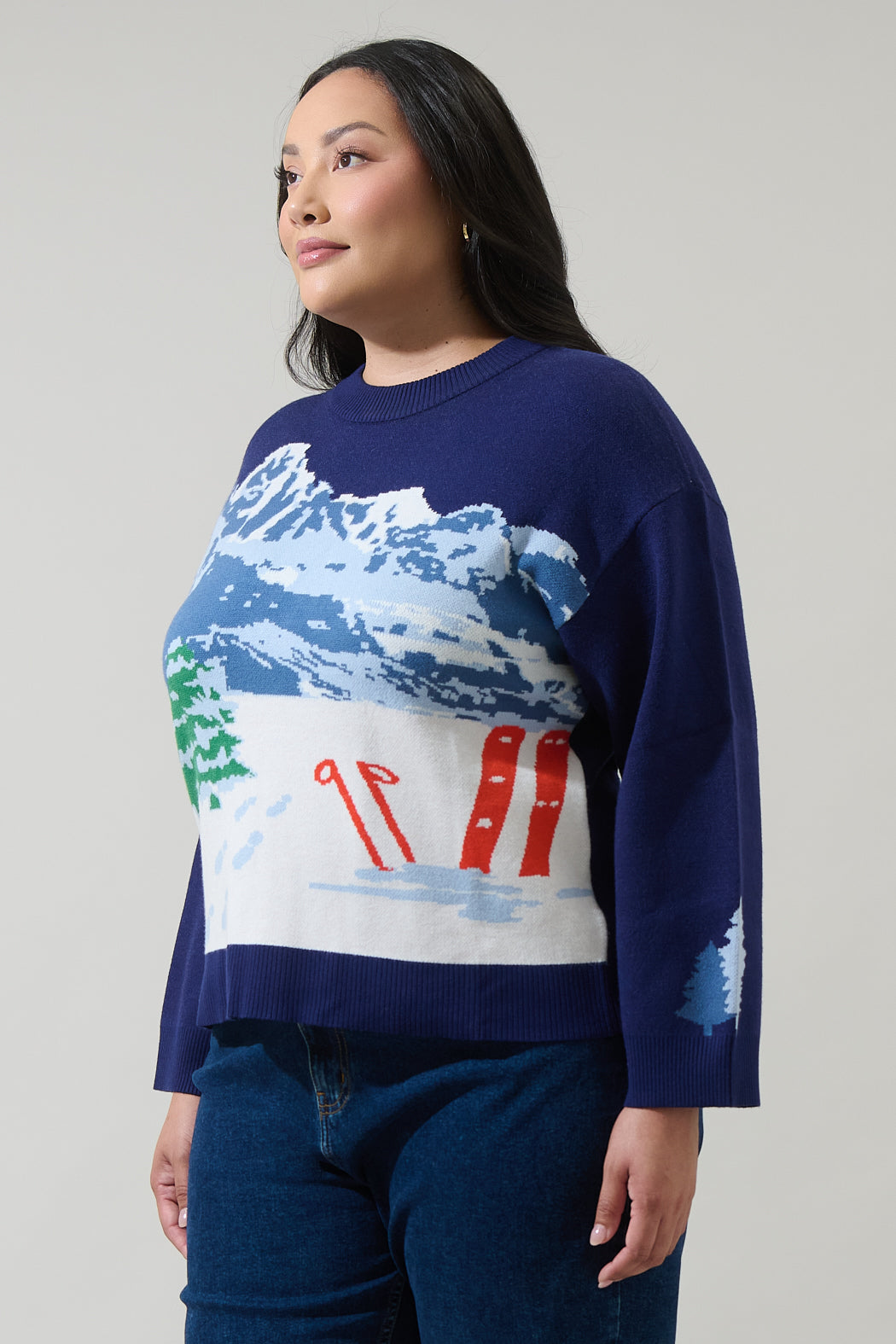 Mystic Mountain Knit Sweater Curve