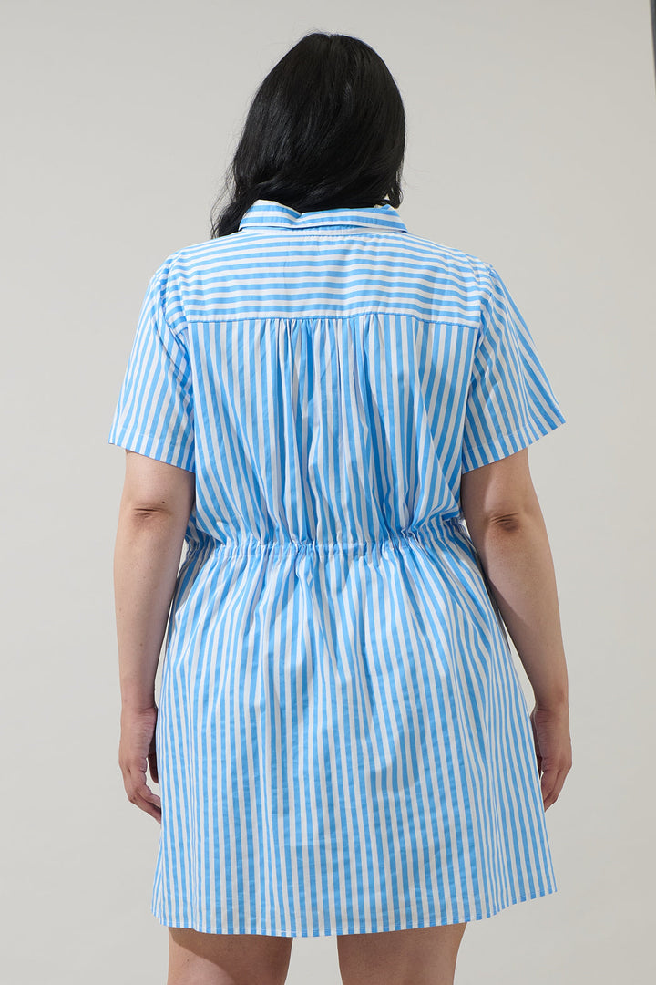Saida Striped Kenda Shift Mini Dress Curve
