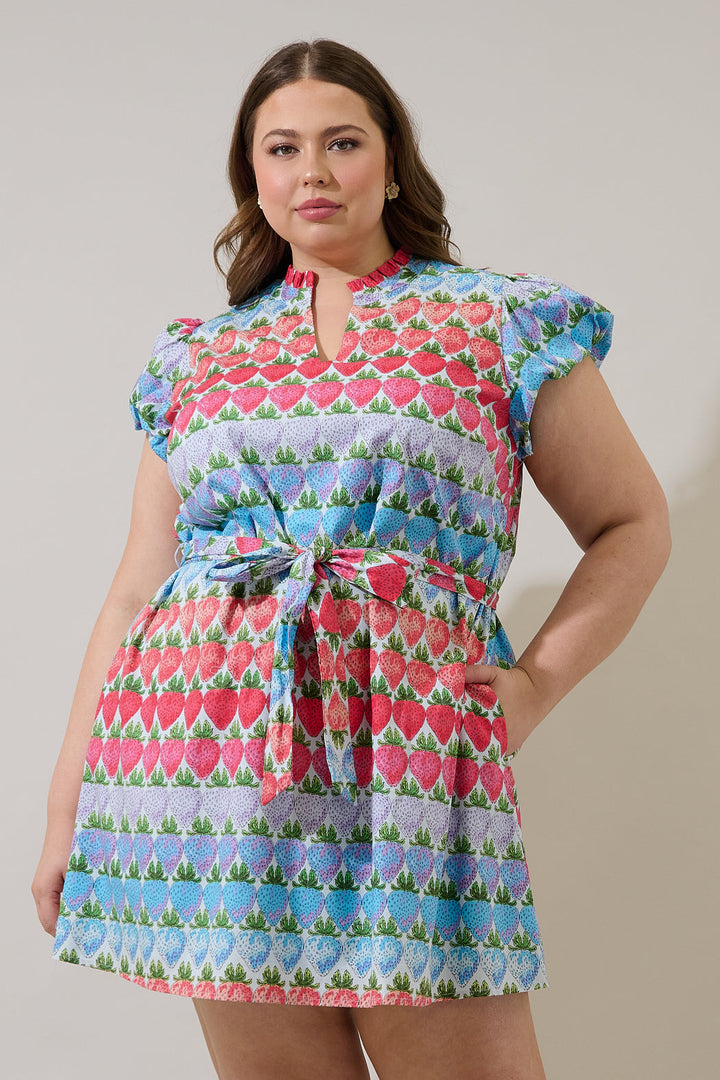 Berry Burst Orela Shift Mini Dress Curve