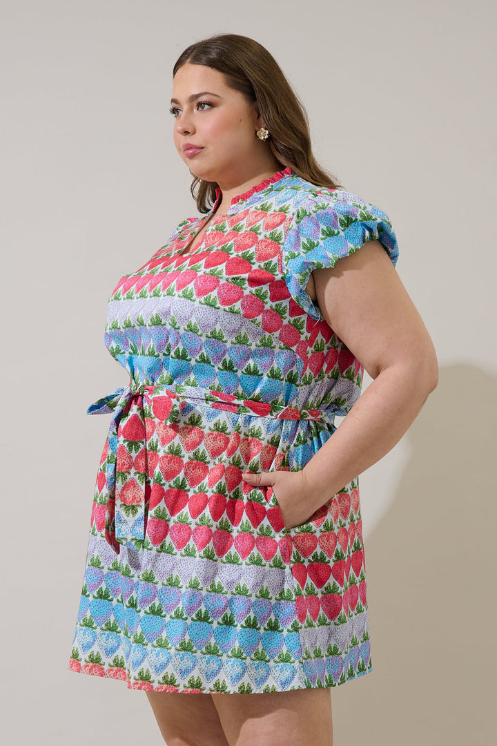 Berry Burst Orela Shift Mini Dress Curve