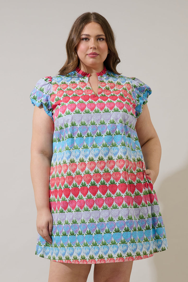 Berry Burst Orela Shift Mini Dress Curve