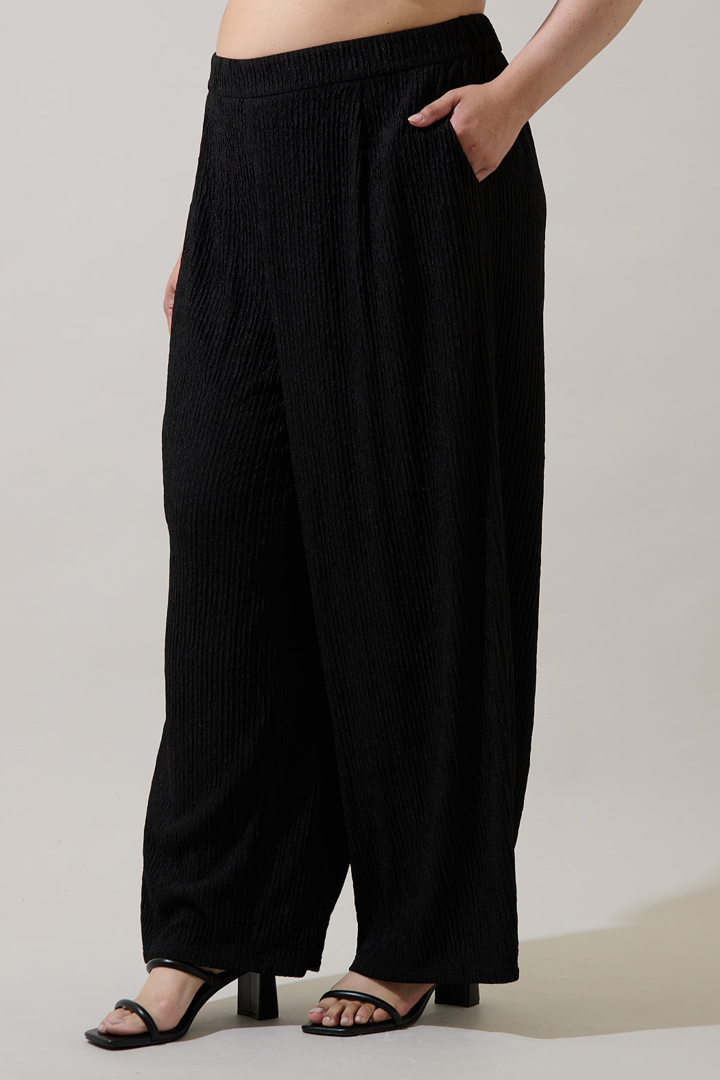 Noelia High Waist Wide Pants Curve