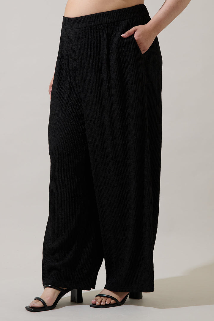 Noelia High Waist Wide Pants Curve