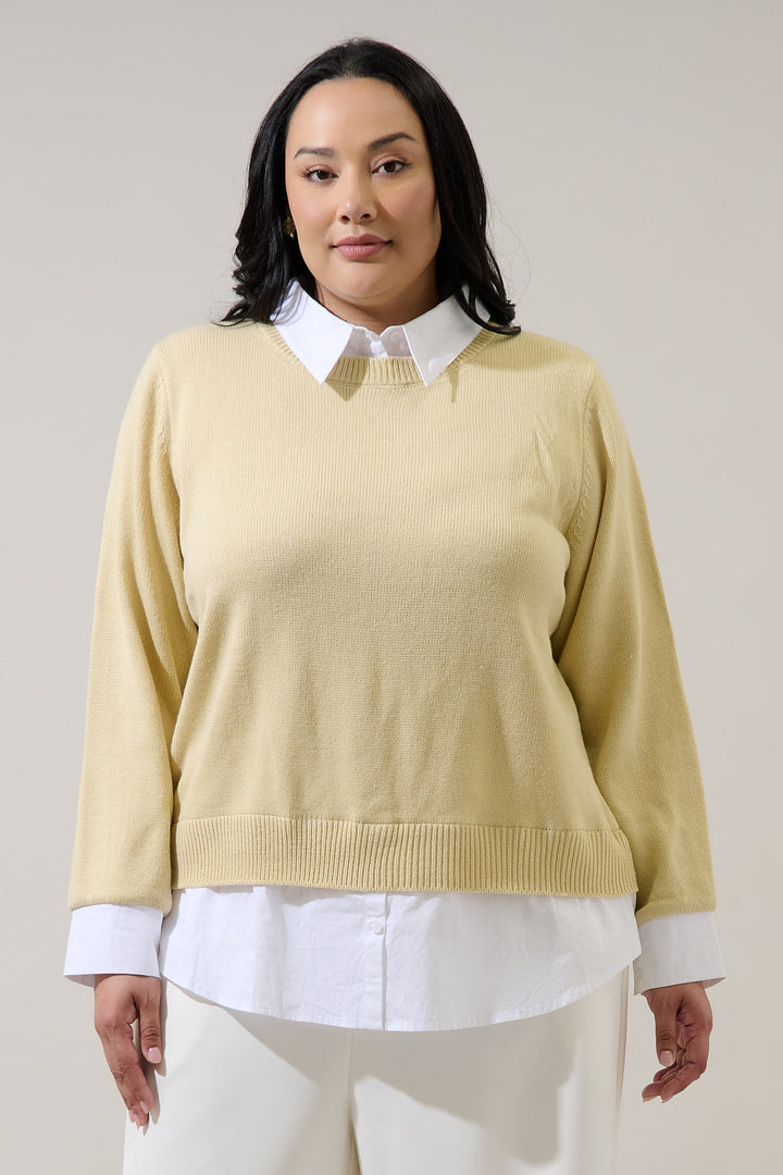 Azira Mix Media Collared Sweater Curve
