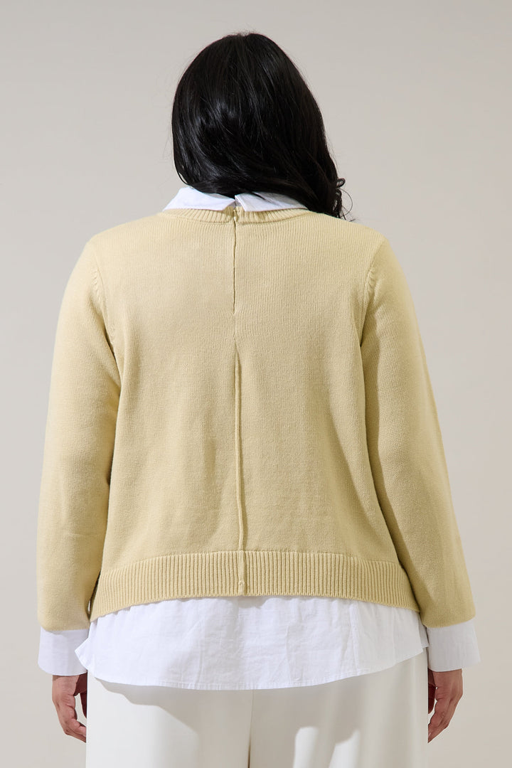 Azira Mix Media Collared Sweater Curve