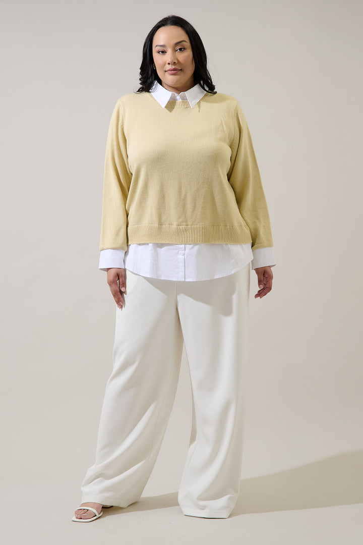 Azira Mix Media Collared Sweater Curve