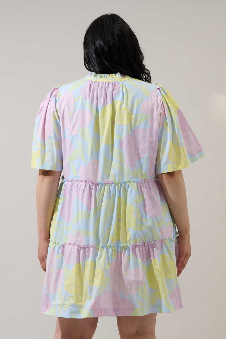 Brisa Floral Dixie Split Neck Shift Dress Curve