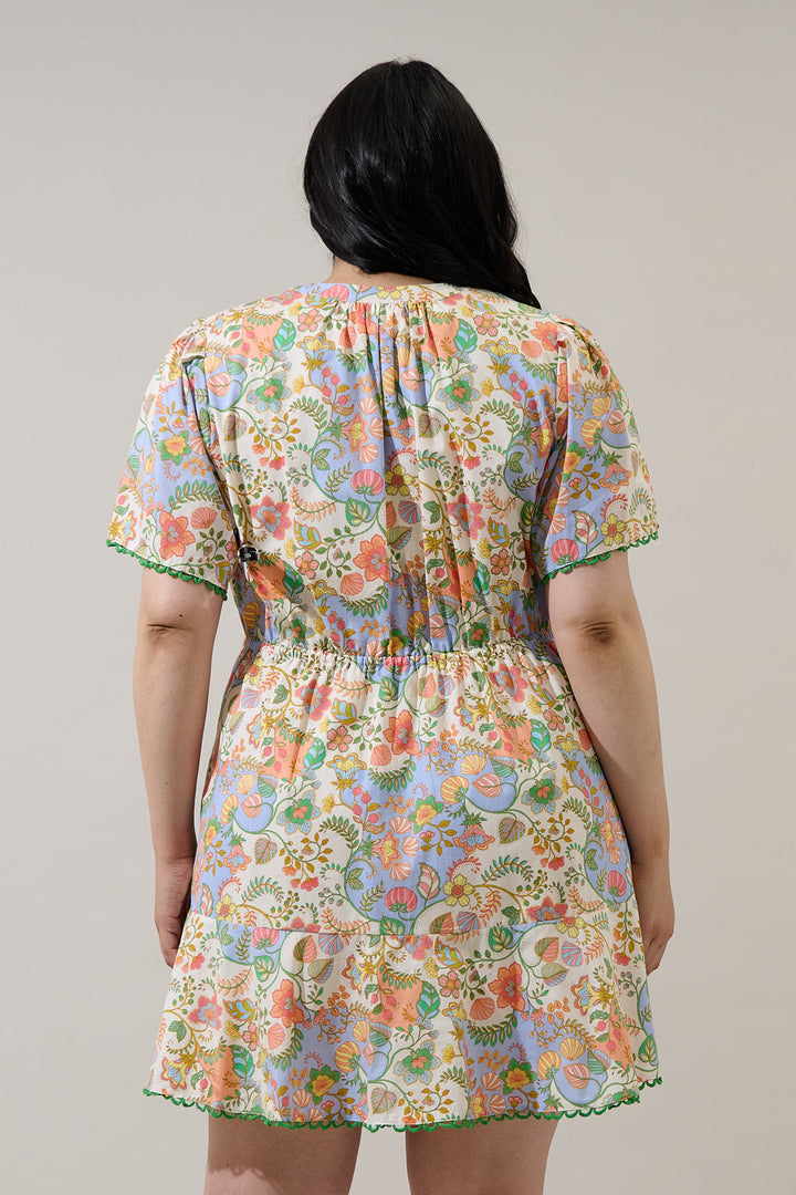 Zamara Floral Bouse Shift Mini Dress Curve