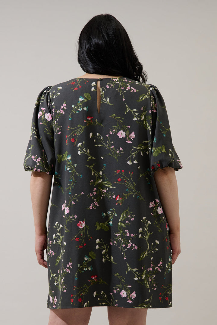 Jilly Floral Morrigan Shift Mini Dress Curve