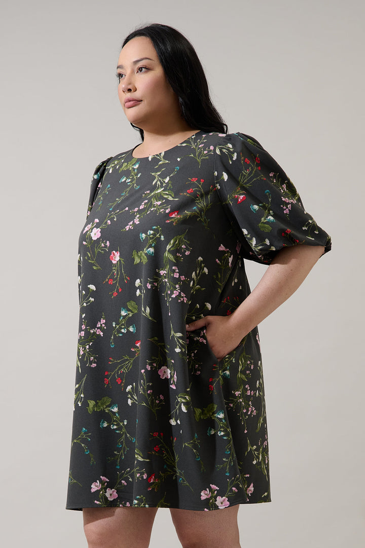 Jilly Floral Morrigan Shift Mini Dress Curve