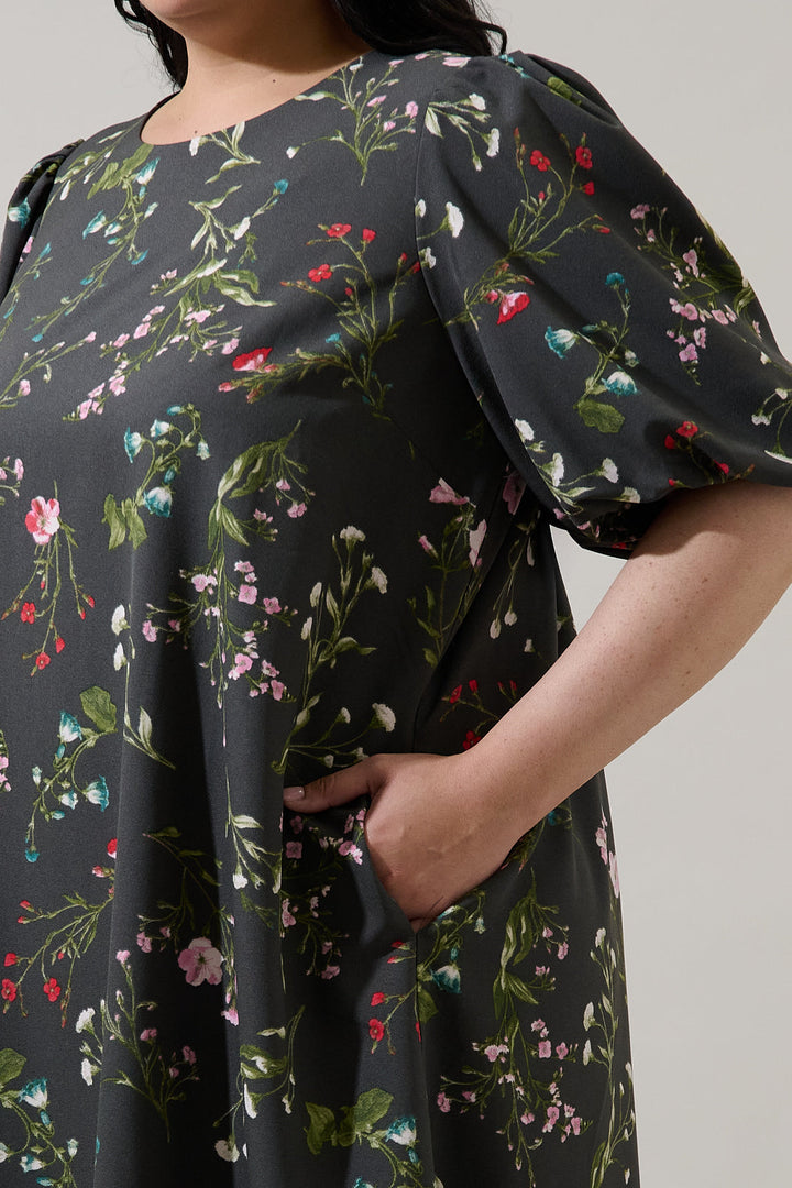 Jilly Floral Morrigan Shift Mini Dress Curve