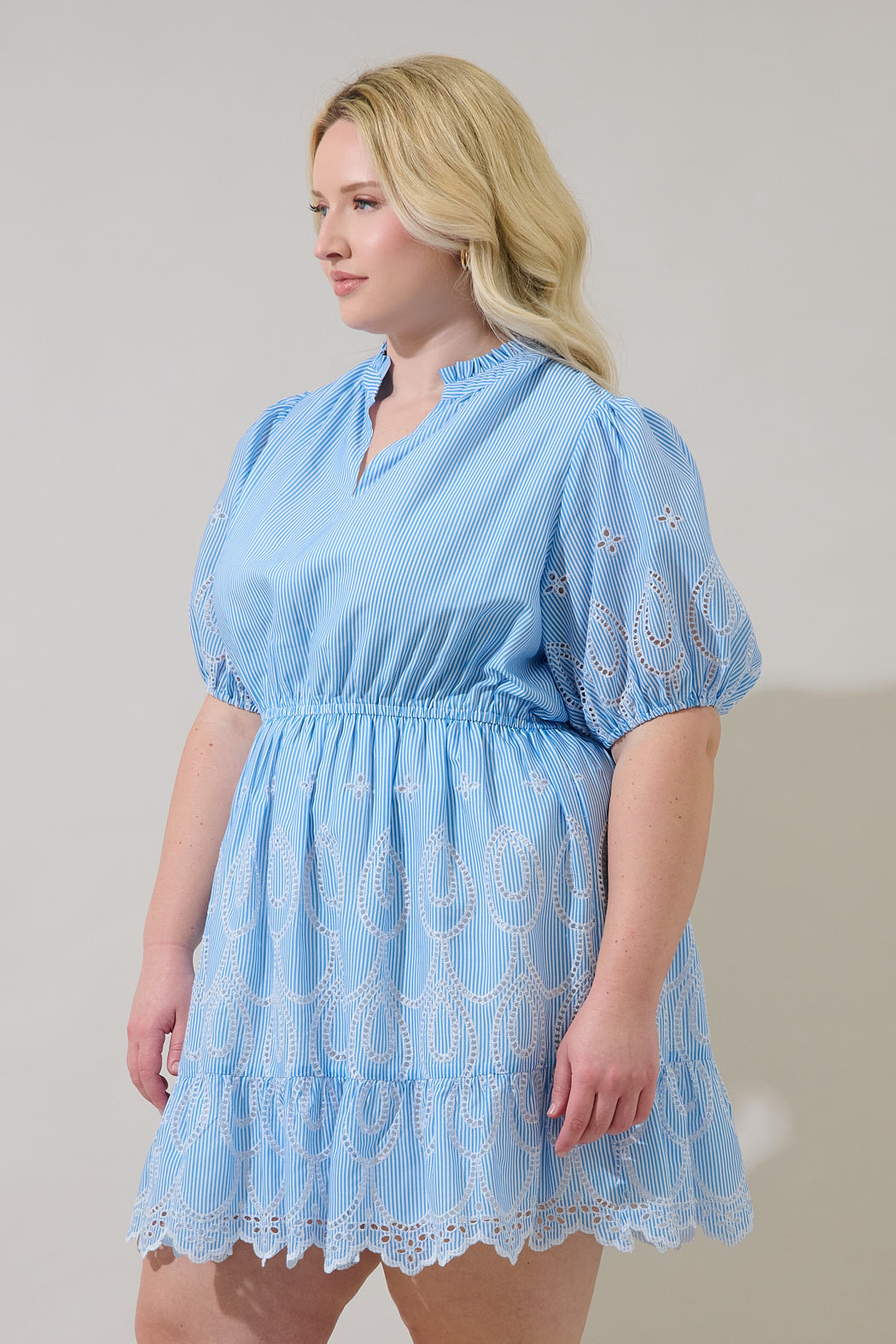 Geyser Striped Eyelet Marissa Mini Dress Curve