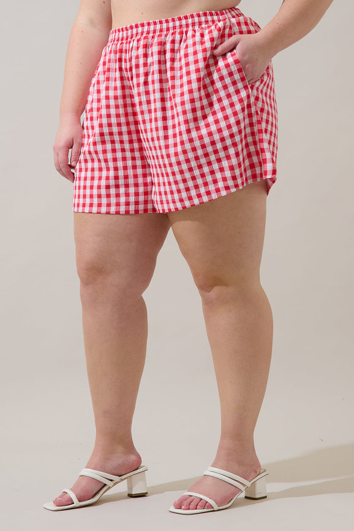 Macon High Waisted Shorts Gingham Curve