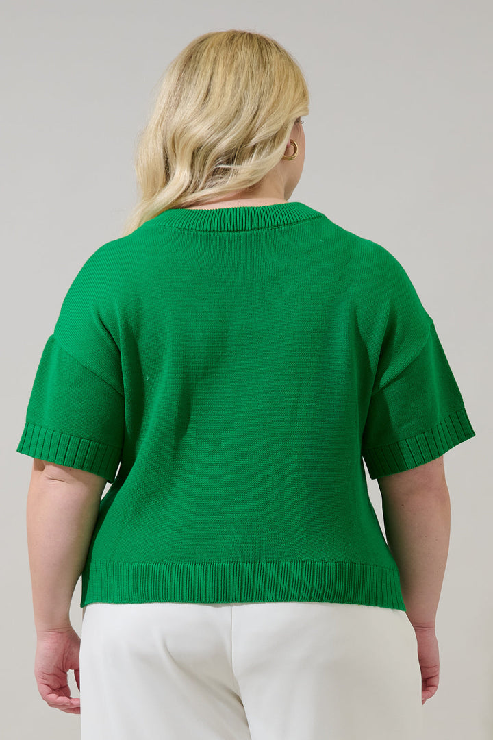Ladybug Drop Shoulder Sweater Top Curve