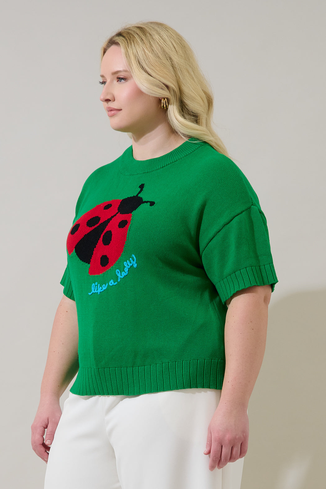 Ladybug Drop Shoulder Sweater Top Curve