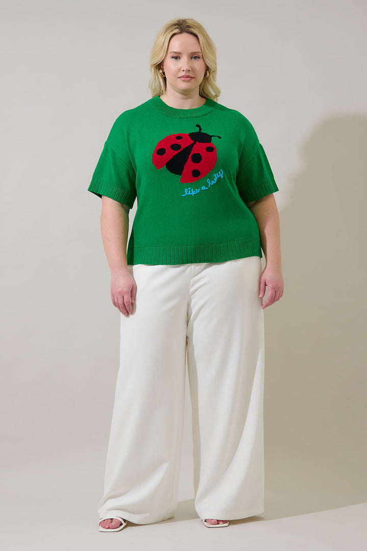 Ladybug Drop Shoulder Sweater Top Curve