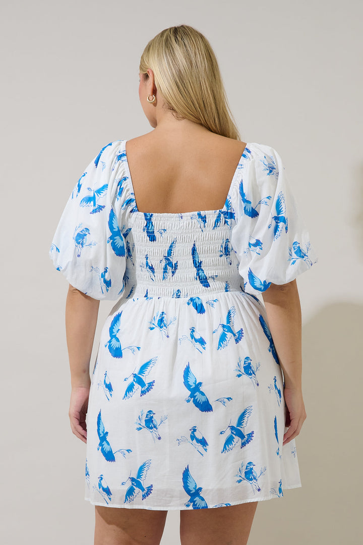 Bluebird Hailie Smocked Mini Dress Curve