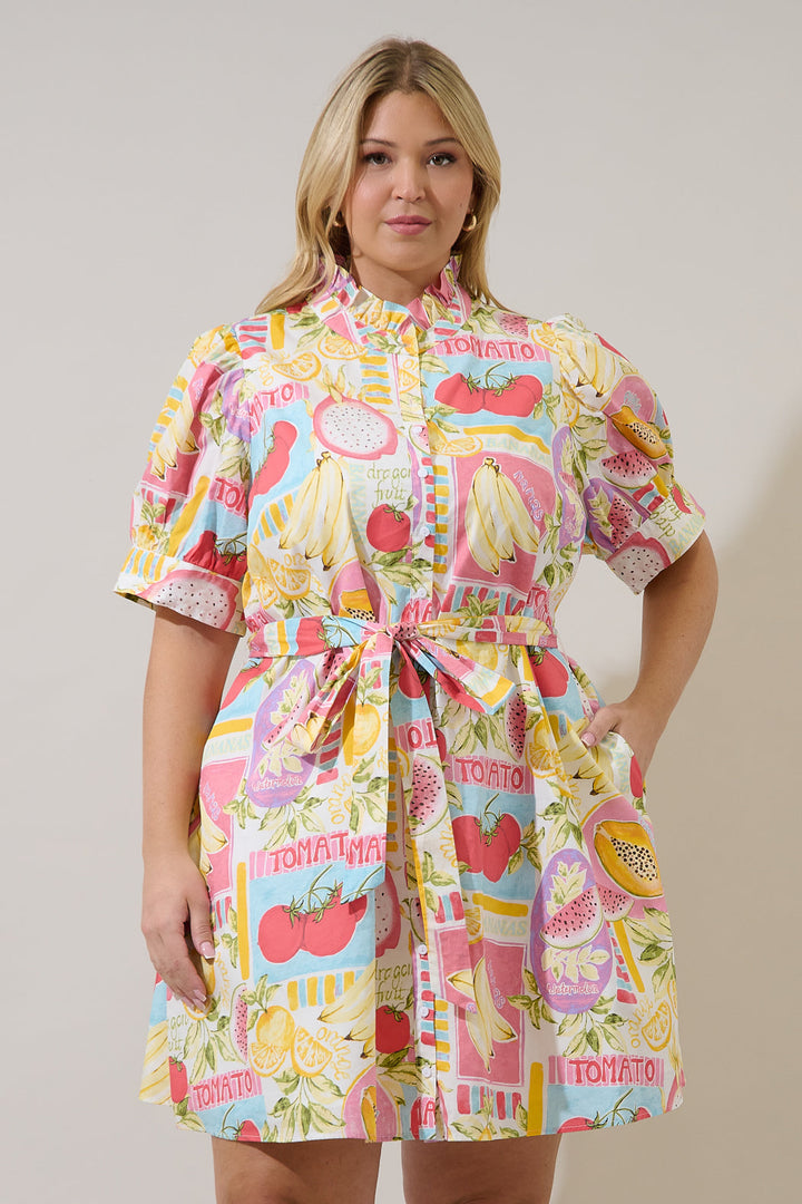 Karesa Button Down Mini Dress Curve Farmers Market