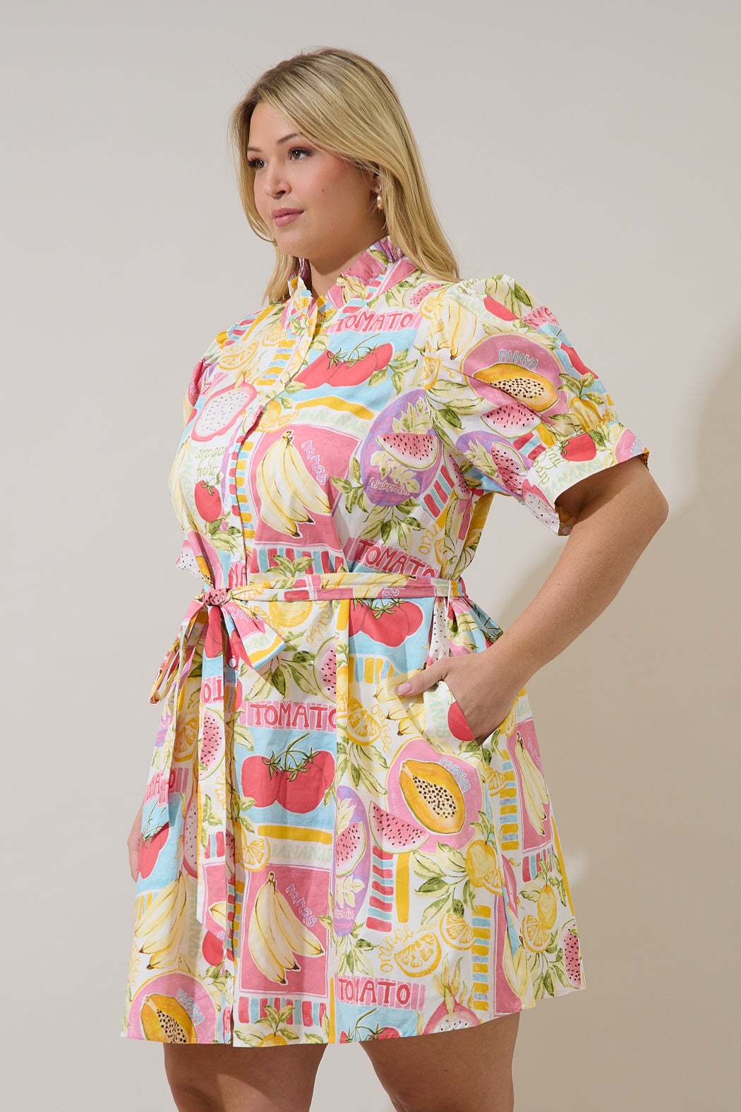 Karesa Button Down Mini Dress Curve Farmers Market