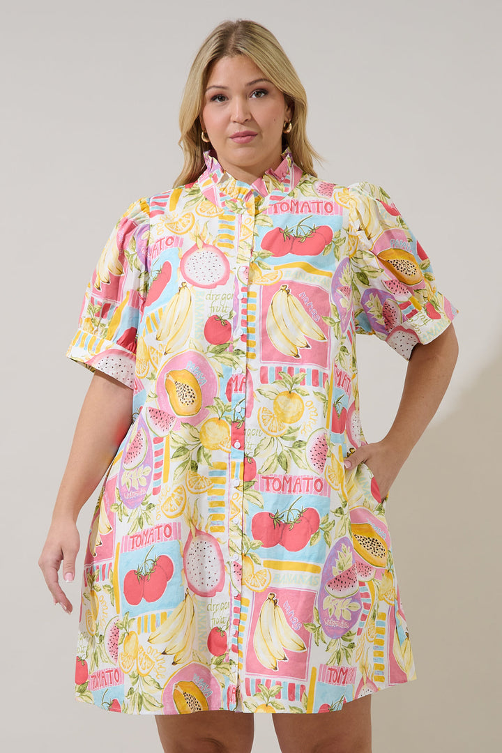 Karesa Button Down Mini Dress Curve Farmers Market