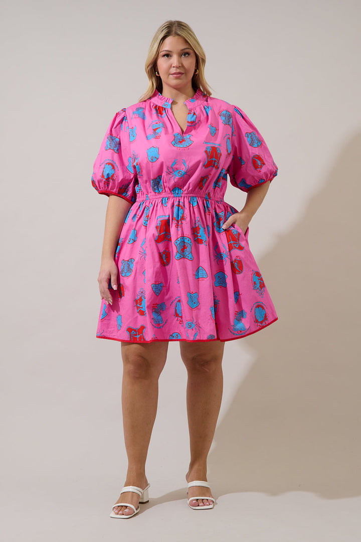 Ferda Ruffle Mini Dress Zodiac Curve