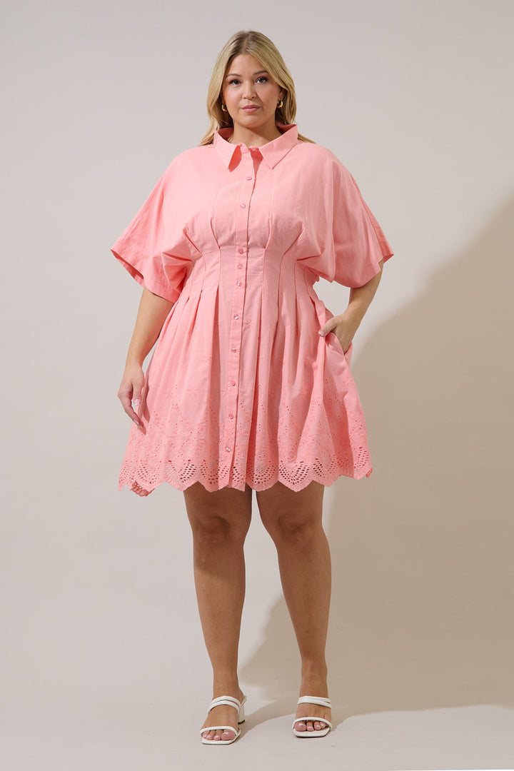 Sammie Collared Eyelet Mini Dress Curve
