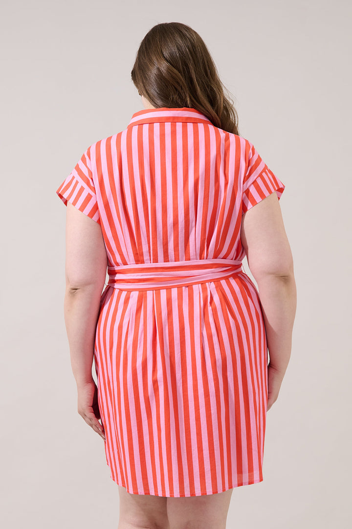Samera Button Up Mini Dress Lasha Stripe Curve