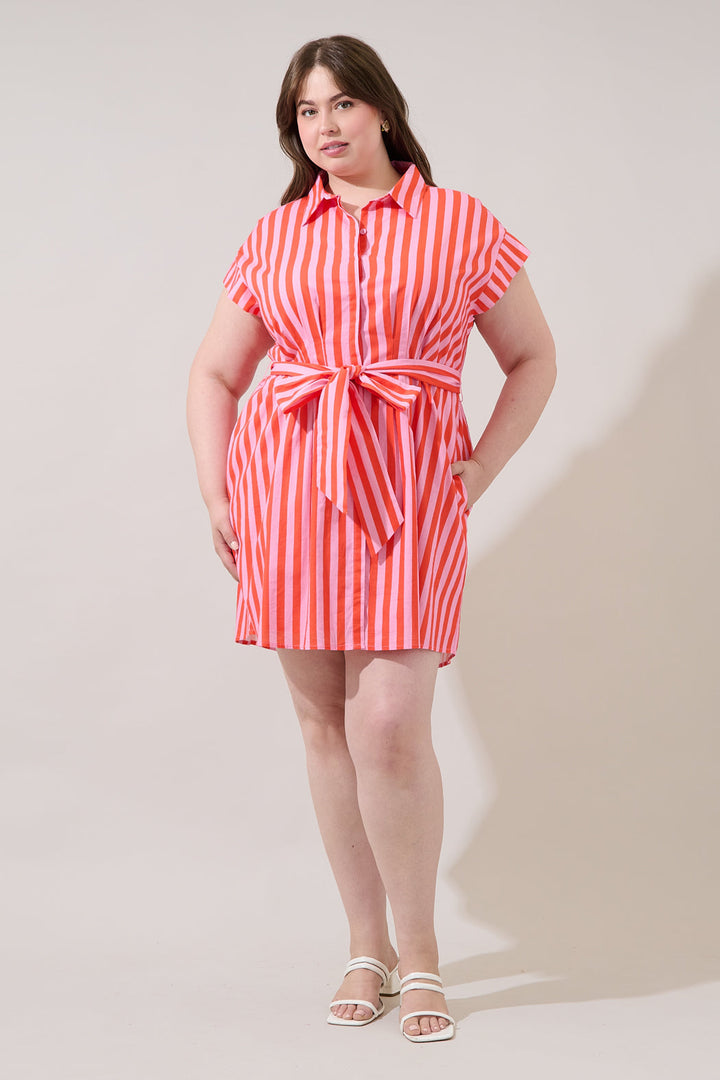 Samera Button Up Mini Dress Lasha Stripe Curve