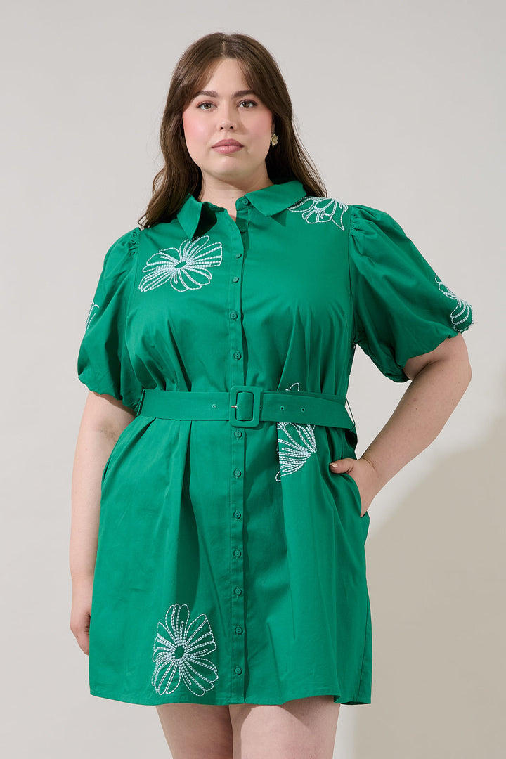 Aurely Embroidery Shirt Mini Dress Curve
