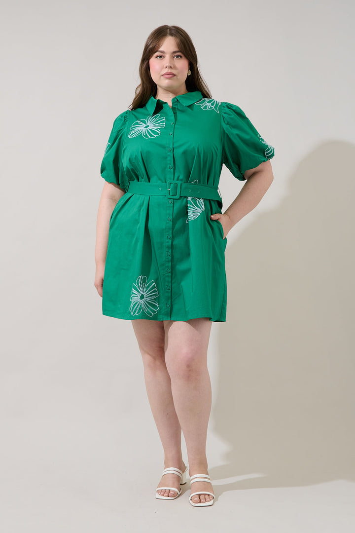Aurely Embroidery Shirt Mini Dress Curve