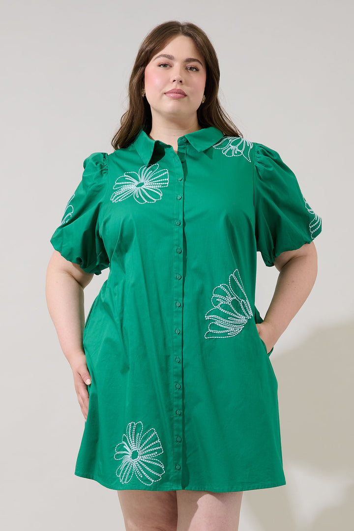 Aurely Embroidery Shirt Mini Dress Curve