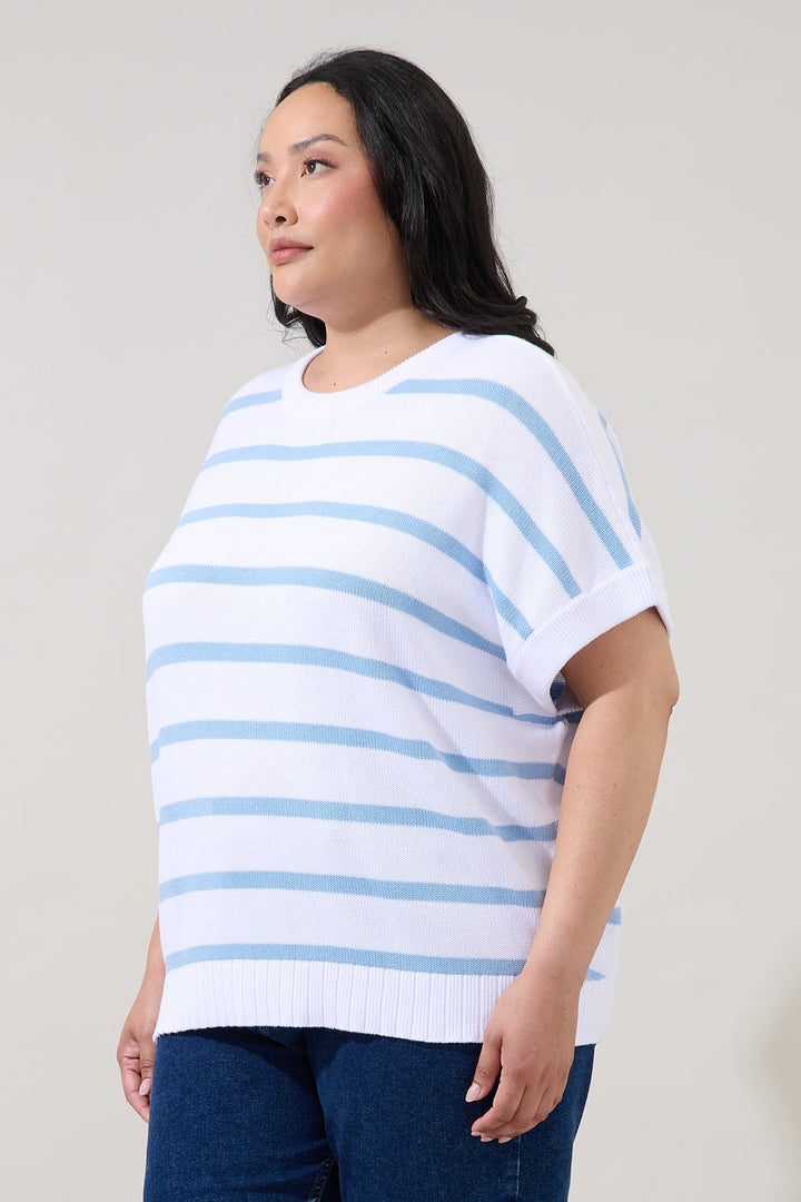 Veronia Striped Oversized Knit Top Curve