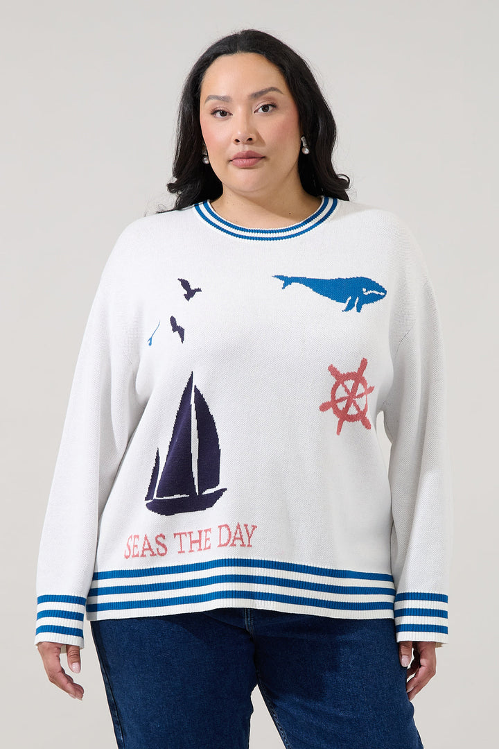 Sea Shore Ribbed Knit Sweater Curve
