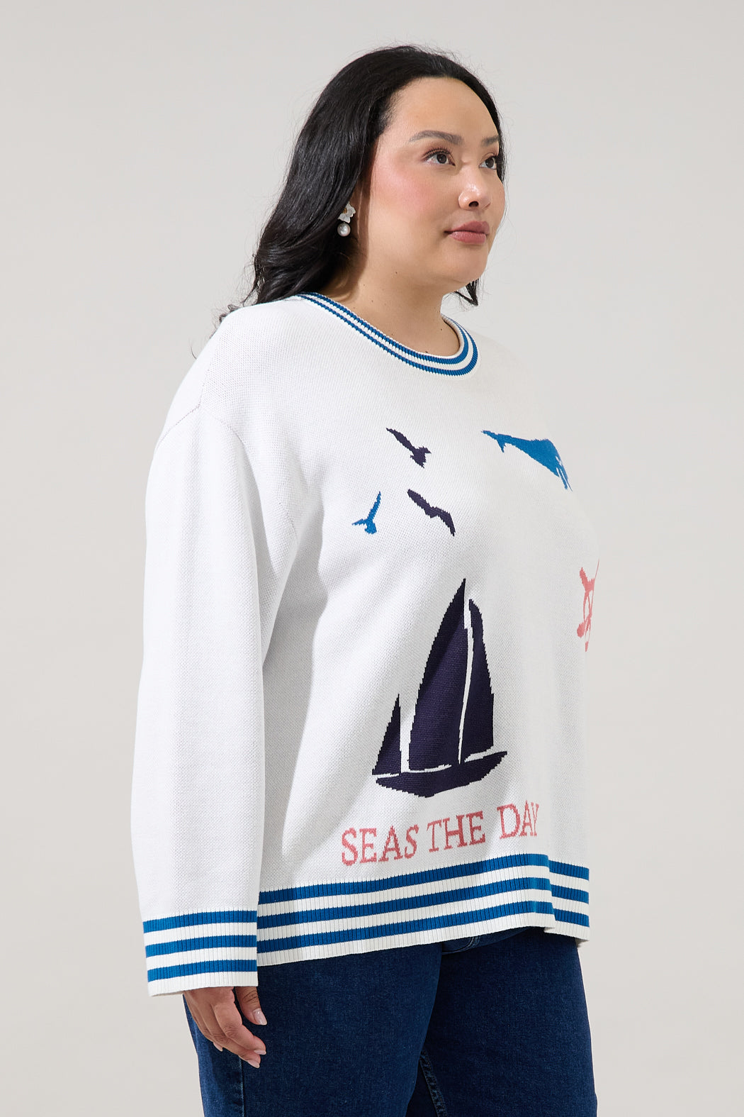 Sea Shore Ribbed Knit Sweater Curve