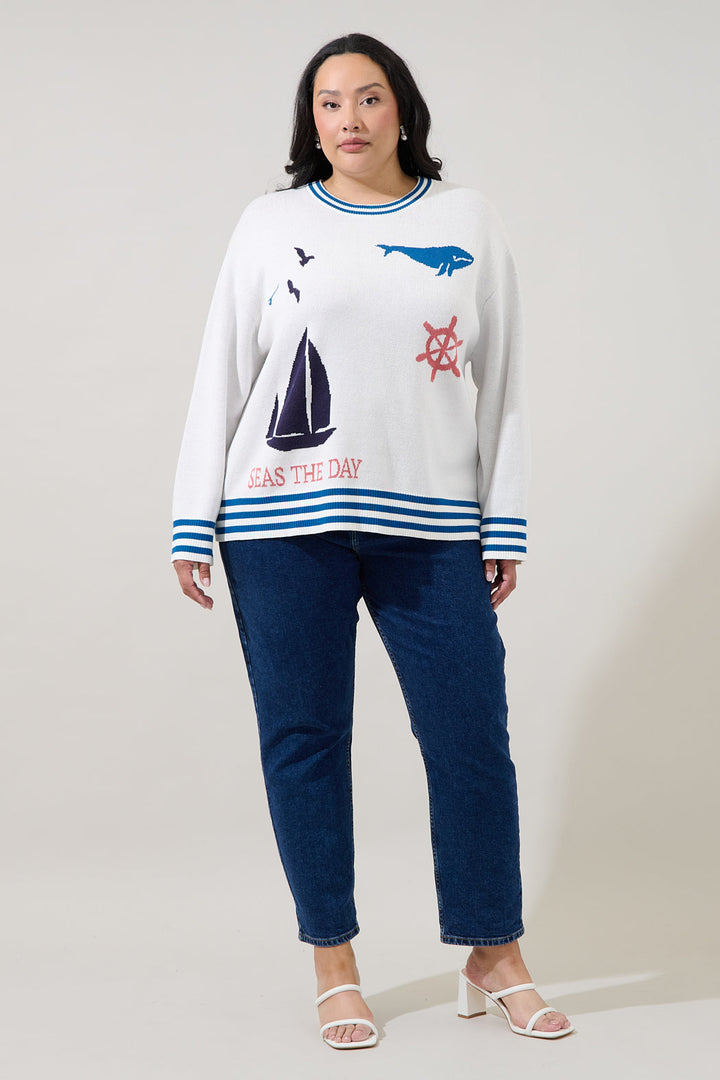 Sea Shore Ribbed Knit Sweater Curve
