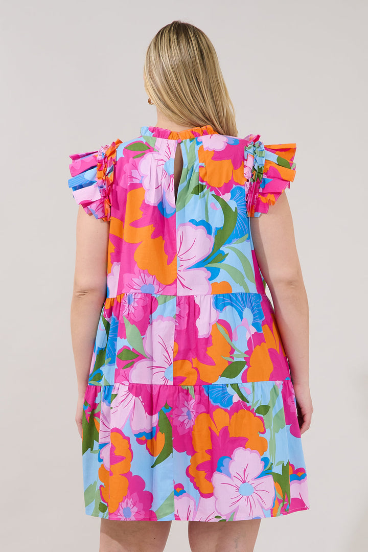 Lauren Shift Mini Dress Zaira Floral Curve