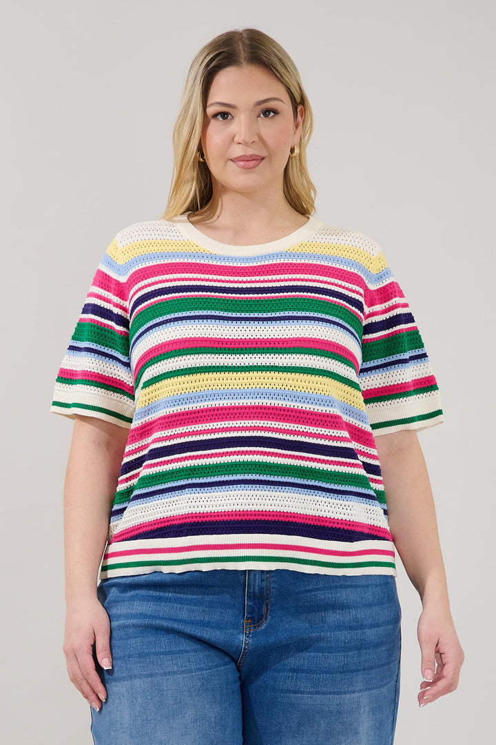 Linzia Stripe Crochet Sweater Top Curve