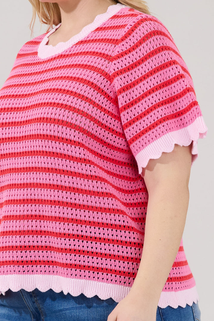 Clarie Stripe Crochet Sweater Top Curve